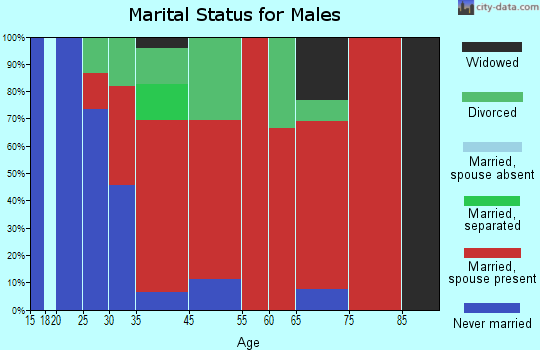 Bowdoinham marital status for males