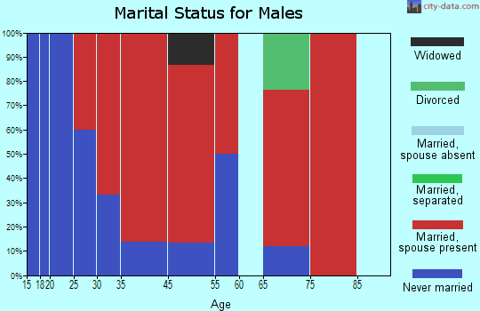 Bremen marital status for males