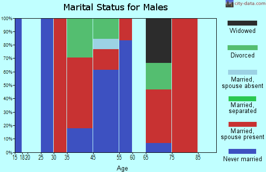 Brooksville marital status for males