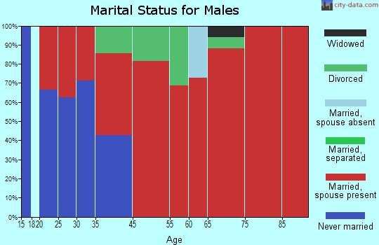 Brownville marital status for males