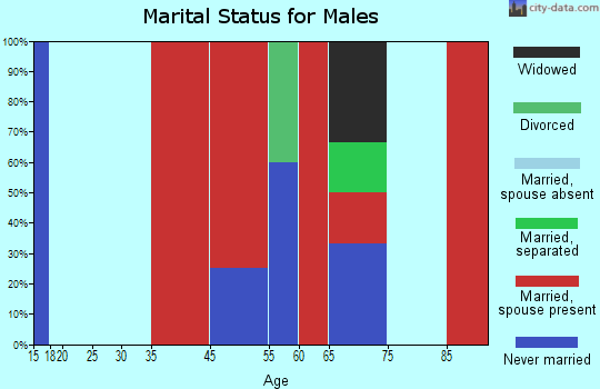 Cape Elizabeth marital status for males