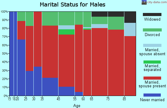 Charleston marital status for males