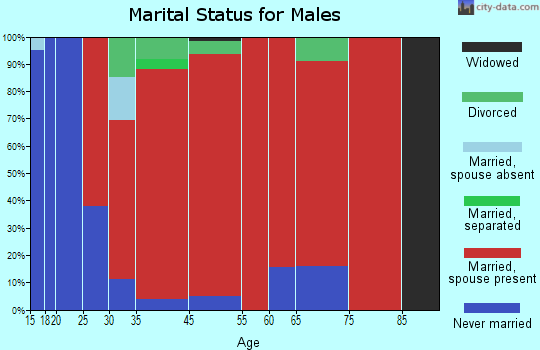 Chesterville marital status for males