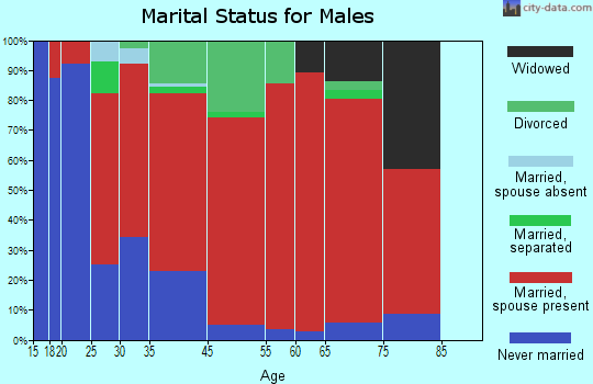 Deer Isle marital status for males