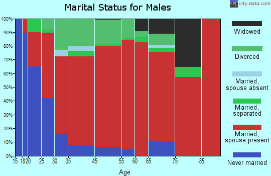 Sawyerville marital status for males