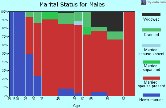 Hudson marital status for males