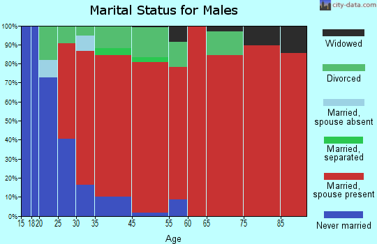 Island Falls marital status for males