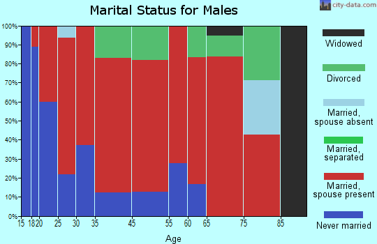 Mount Vernon marital status for males