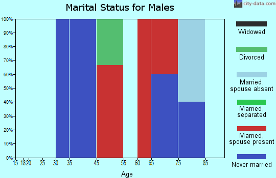 New Sweden marital status for males
