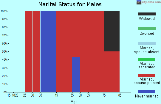 Northport marital status for males