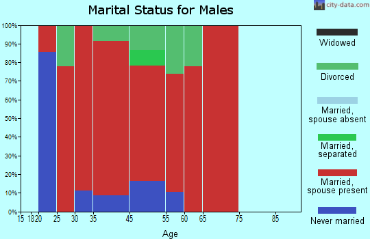 Parsonsfield marital status for males