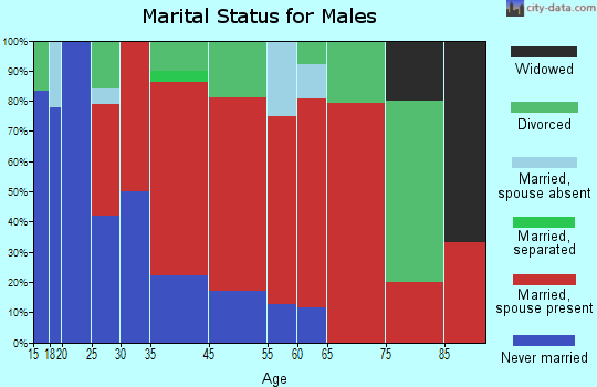 Peru marital status for males