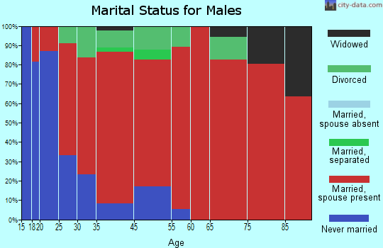 Sebago marital status for males