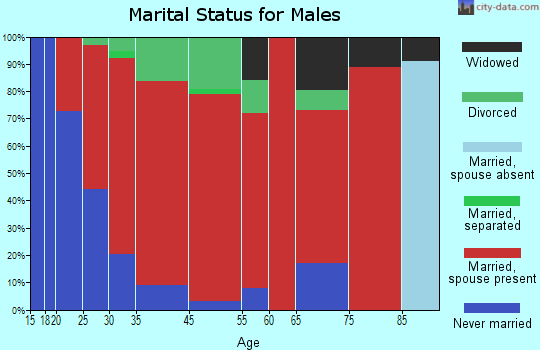 Smyrna marital status for males