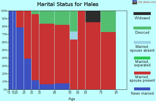 Somerville marital status for males