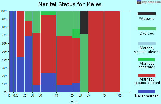Swans Island marital status for males