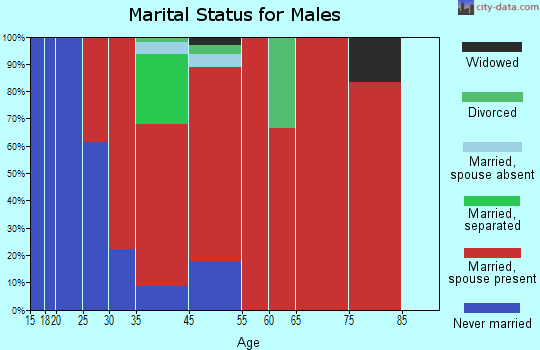 Swanville marital status for males