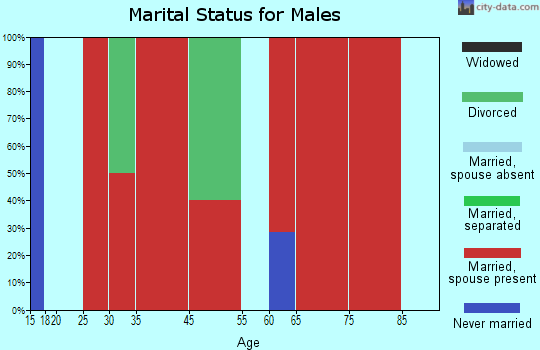 Wellington marital status for males
