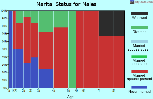District 3, Hagerstown marital status for males