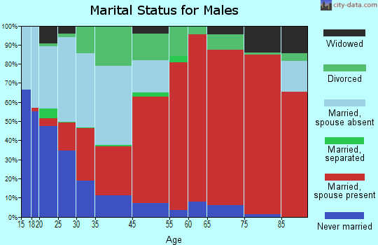 District 5, Queenstown marital status for males