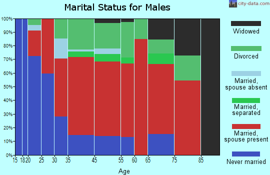 District 10, Funkstown marital status for males