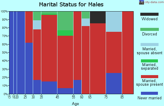 District 17, Hagerstown marital status for males