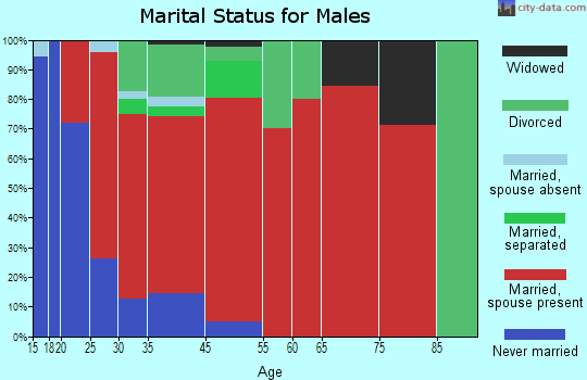 District 20, Lewistown marital status for males