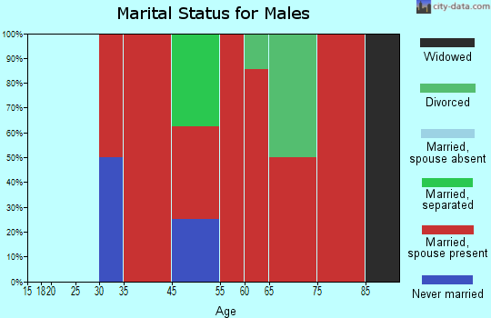 Blandford marital status for males