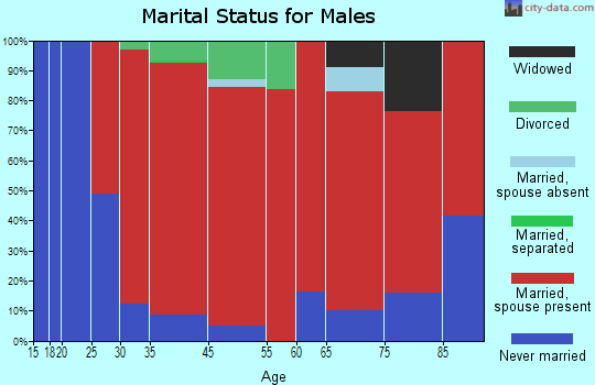 Chelmsford marital status for males