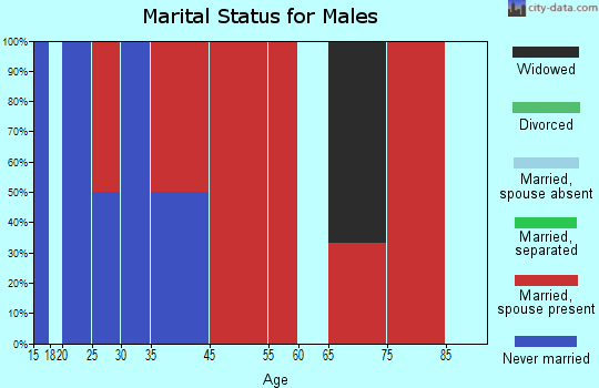 Deerfield marital status for males