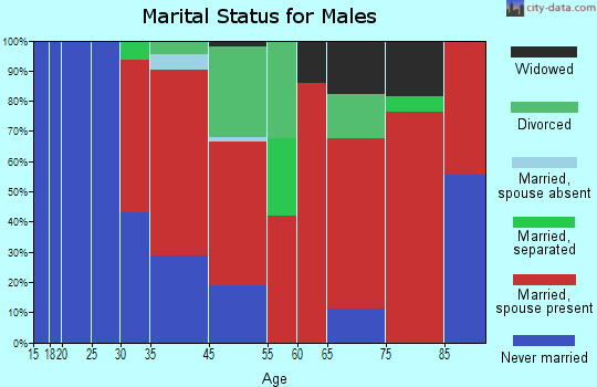 Dighton marital status for males
