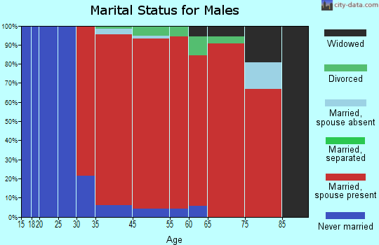 Georgetown marital status for males