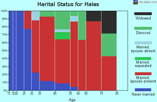 Hinsdale marital status for males