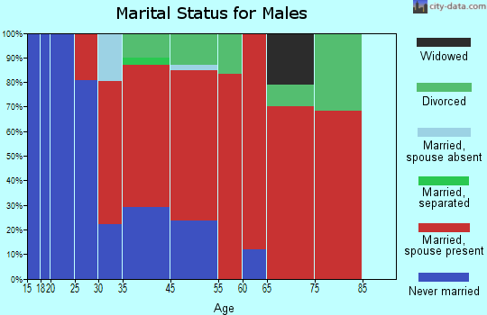 Holliston marital status for males