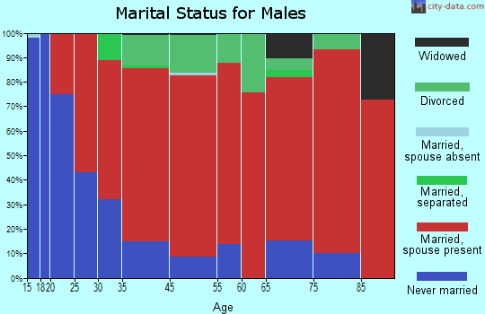 Lanesborough marital status for males