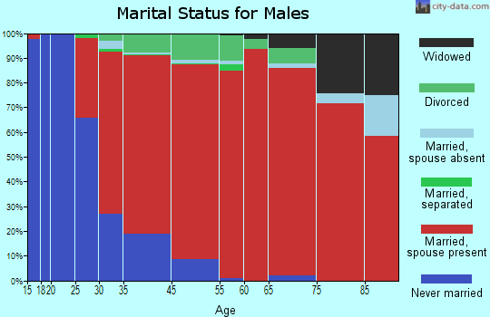 New Ashford marital status for males