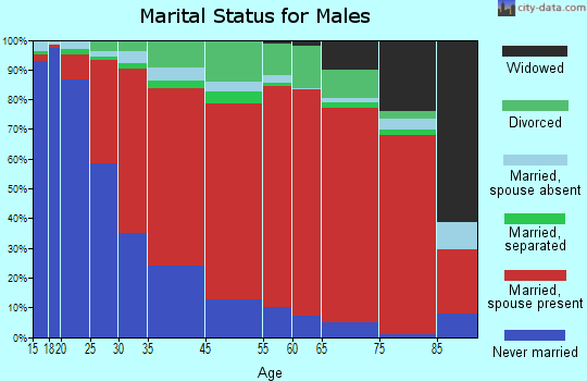 Norfolk marital status for males