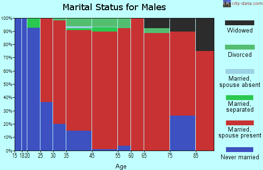 North Attleborough marital status for males