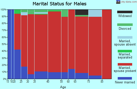 Northbridge marital status for males