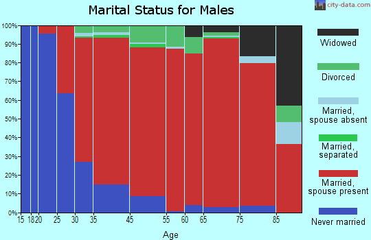 Oak Bluffs marital status for males