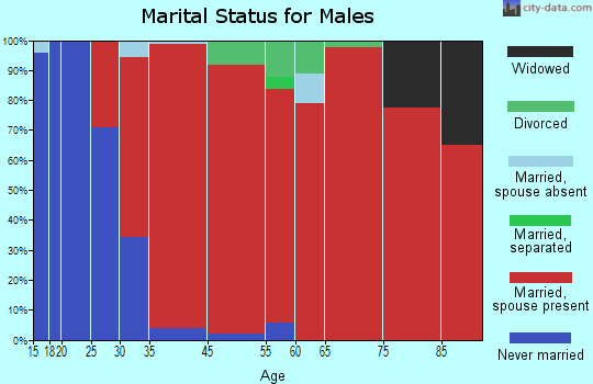 Raynham marital status for males