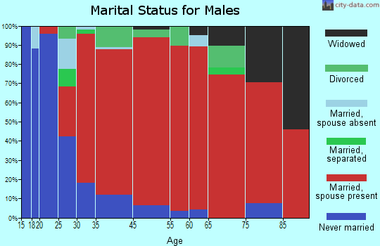Williamsburg marital status for males