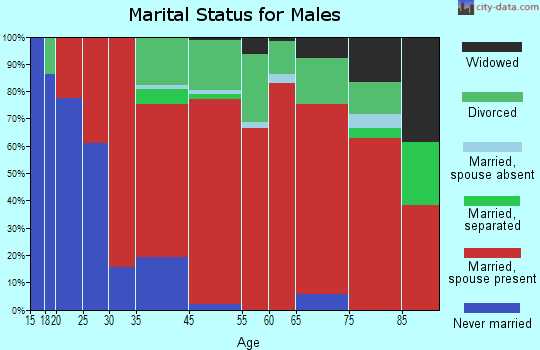 Arivaca marital status for males