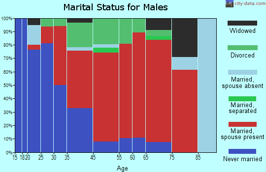 Ashfork marital status for males