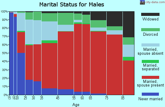 Bowie marital status for males