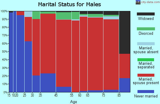 Fort Apache marital status for males