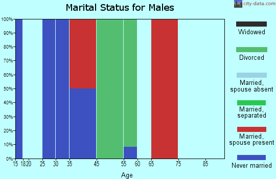 Bad Rock-Columbia Heights marital status for males