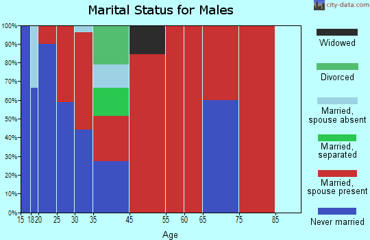 Salt River marital status for males
