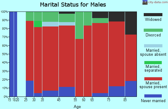 Geyser marital status for males