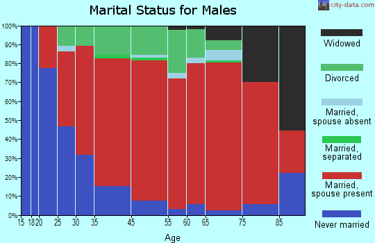 Hinsdale marital status for males
